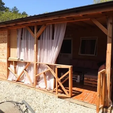 Campsite цветовете на слънцето