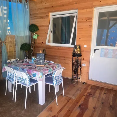 Campsite цветовете на слънцето
