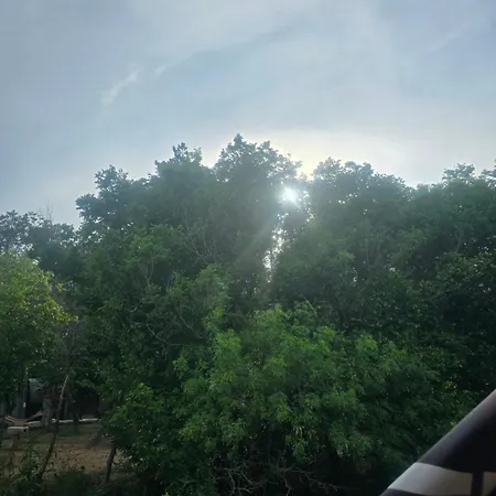 Campsite цветовете на слънцето *
