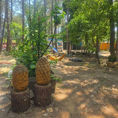 Camping ла пуеста де соль Burgas